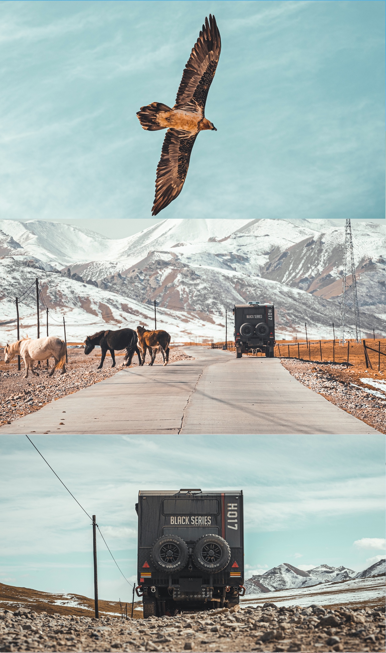 1639756547216807.jpg image005.jpg