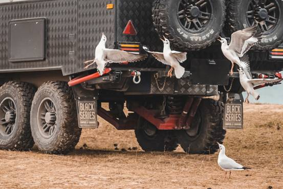 1639757065184933.jpg image006.jpg