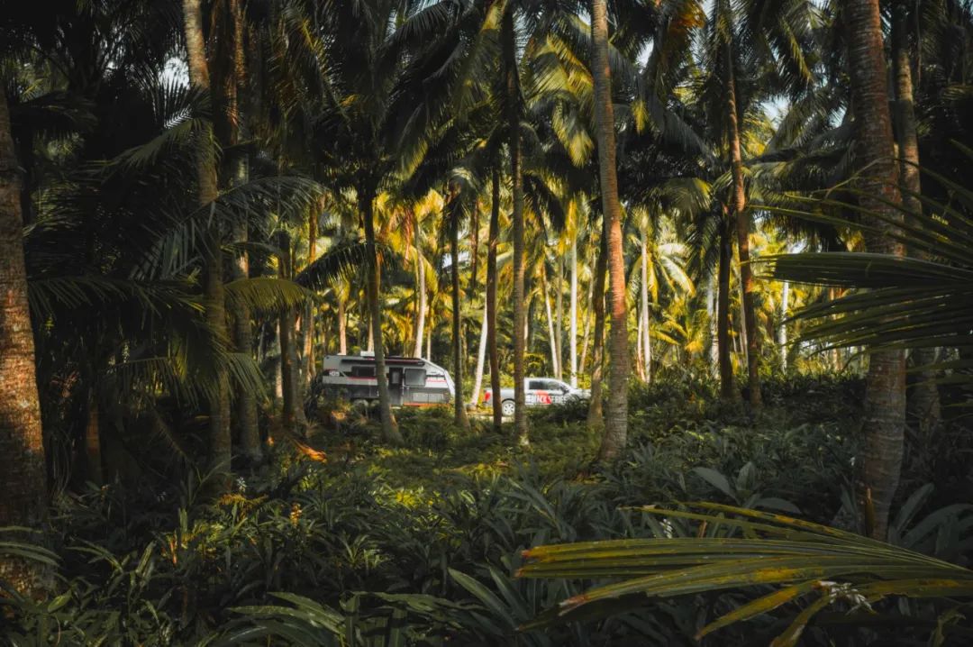 1650681011135087.jpg 20220423_102803_000.jpg